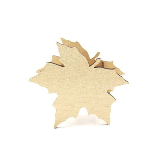 Trofee Si Cadouri Personalizate 84 Cutie Frunza