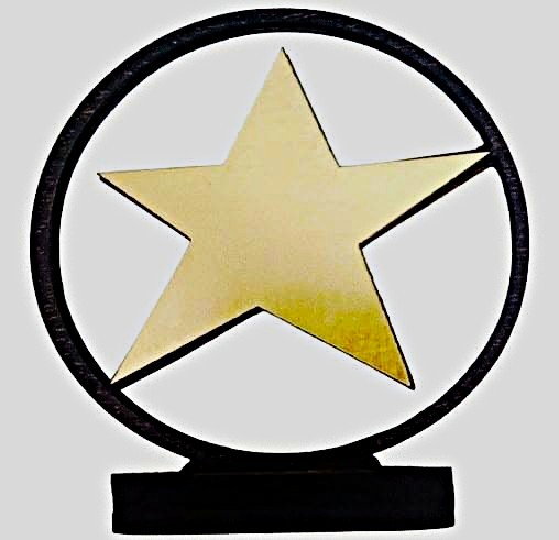 Trofeul Steaua Excelentei