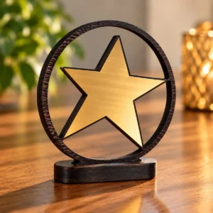 Trofeul Steaua Excelentei